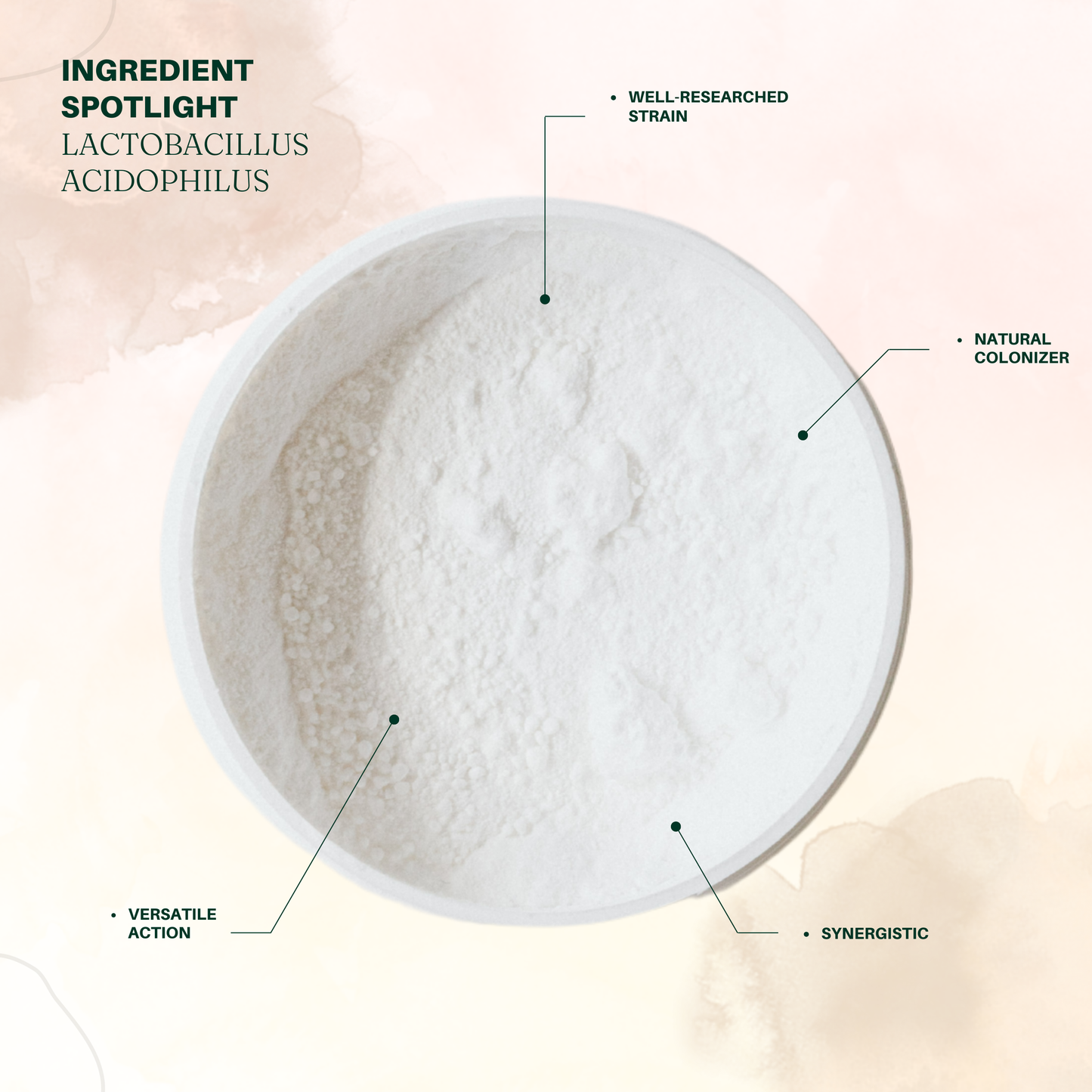 Évella - Premium Probiotic Complex